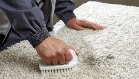 Professional Rug Cleaning Olinda
