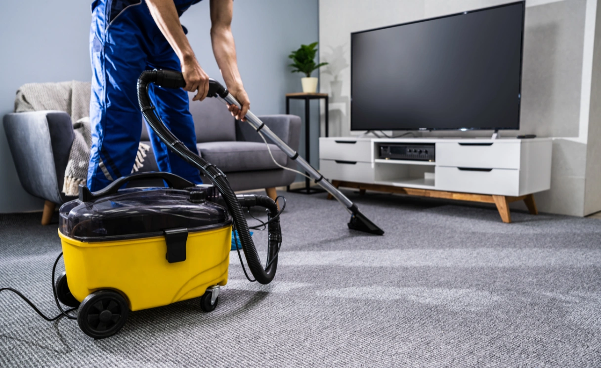 Extract Rug Cleaning Olinda Contact Office
